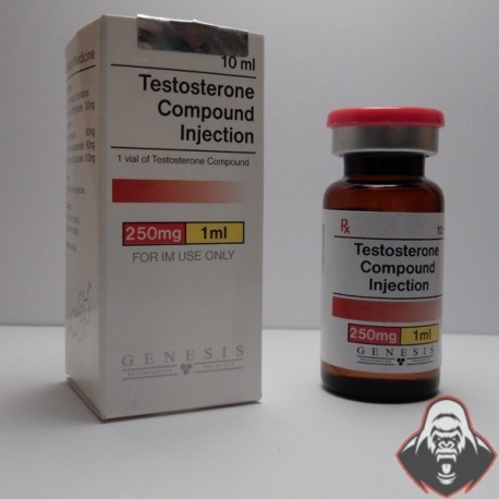 Testosterone Compound Genesis (250 mg/ml) 10 ml