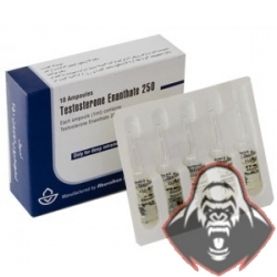 Testosterone enanthate - 250 mg/ 1 ml - IRAN