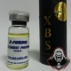 Probol (Testosterone Propionate) – XBS Labs