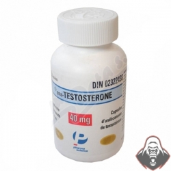 PMS-TESTOSTERONE - guia 40mgx100 (undecanoato de testosterona)
